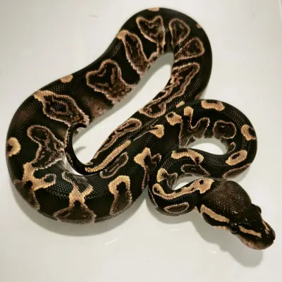 GHI