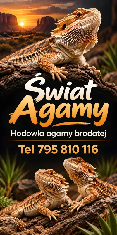 Świat agamy