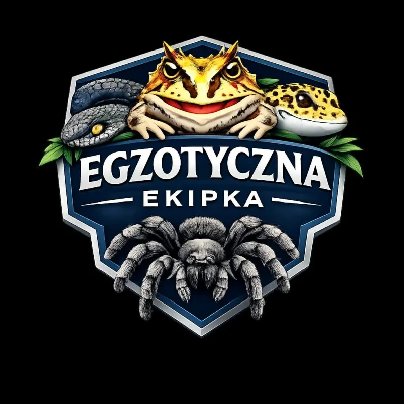 Egzotyczna Ekipka