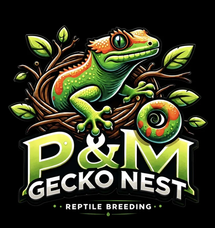 P&M GECKO NEST