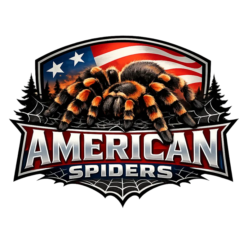 AmericanSpiders