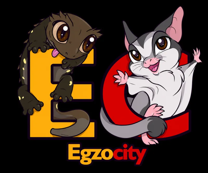 EgzoCity