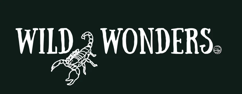 WildWonders