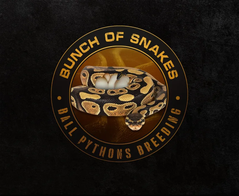 Bunch of Snakes