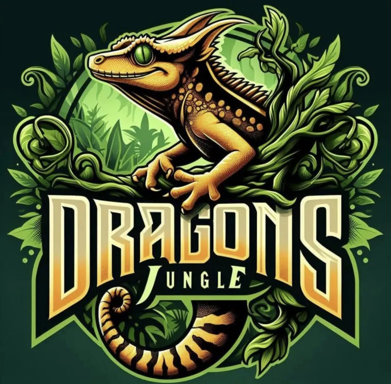 Dragon's Jungle