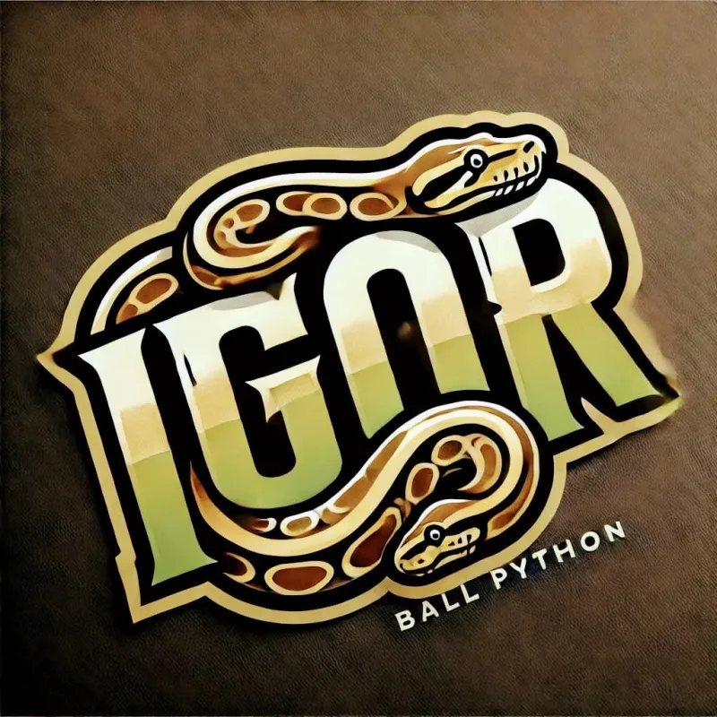 Igor Python