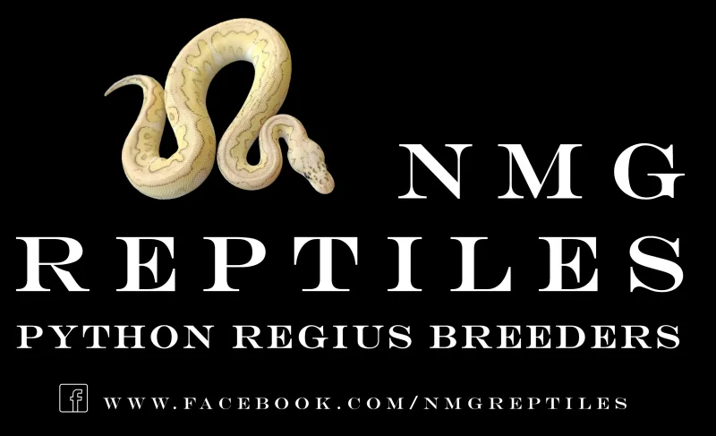 NMG REPTILES