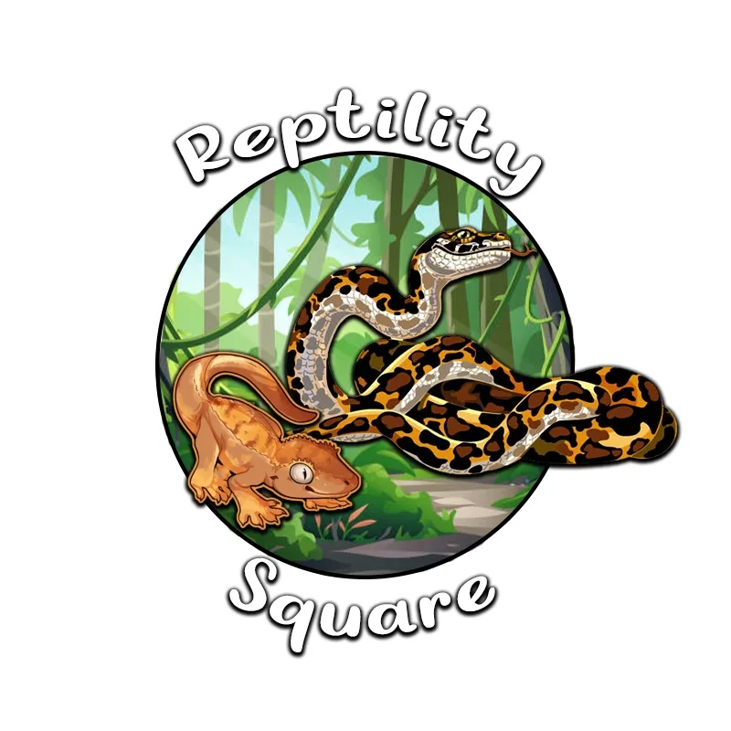 ReptilitySquare