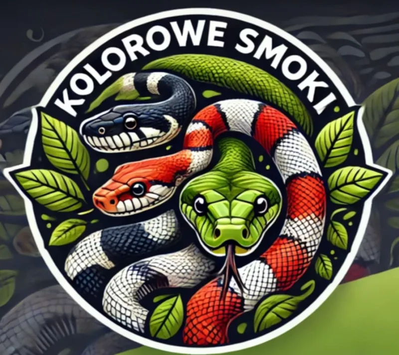Kolorowe Smoki