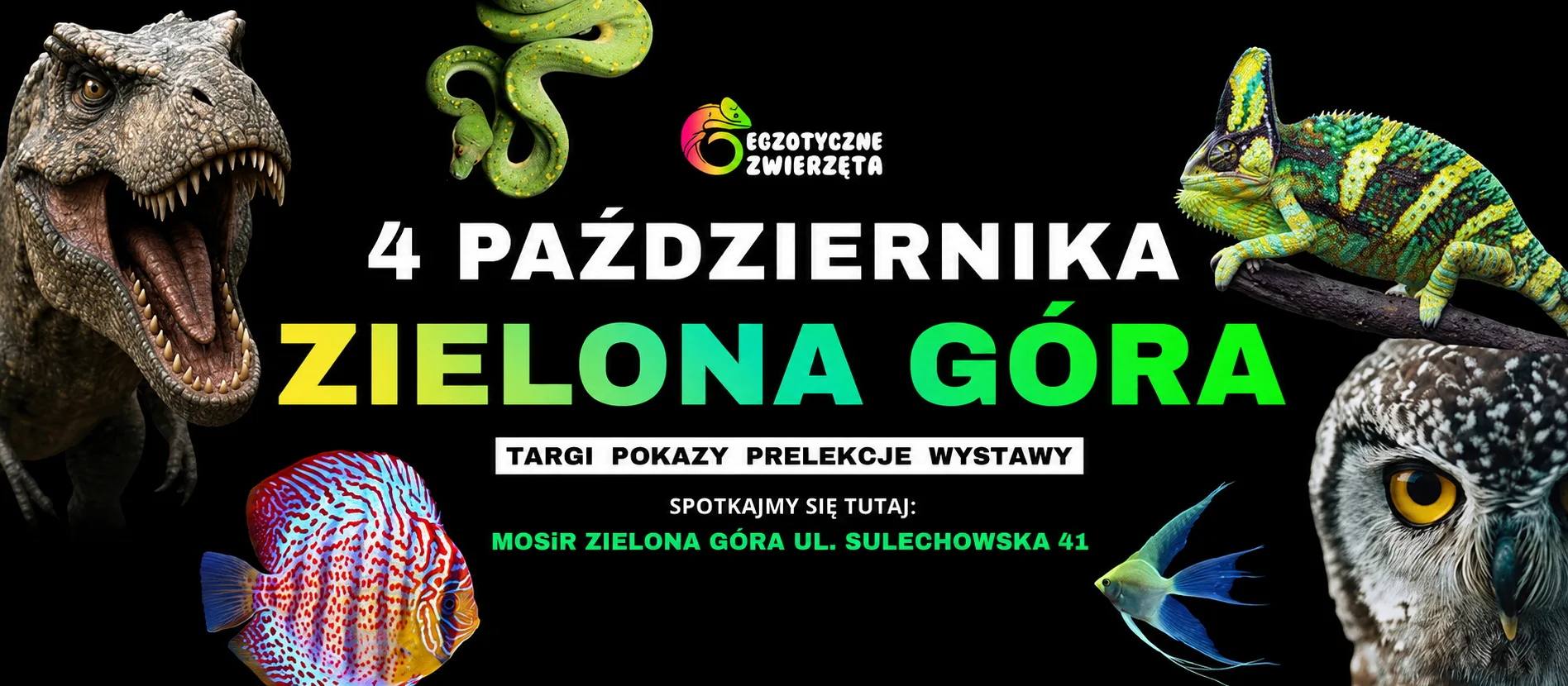 Egzotyczne Zwierzeta Zielona Góra -04.10.2026