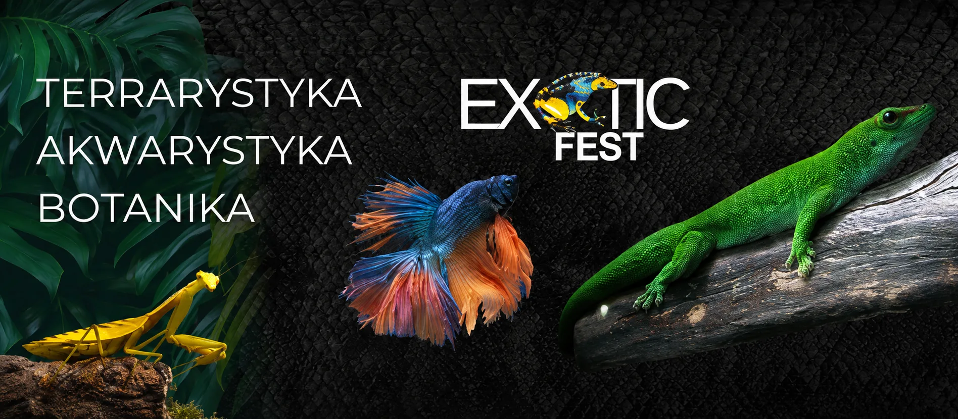 Exotic Fest Poznań - 27.09.2026