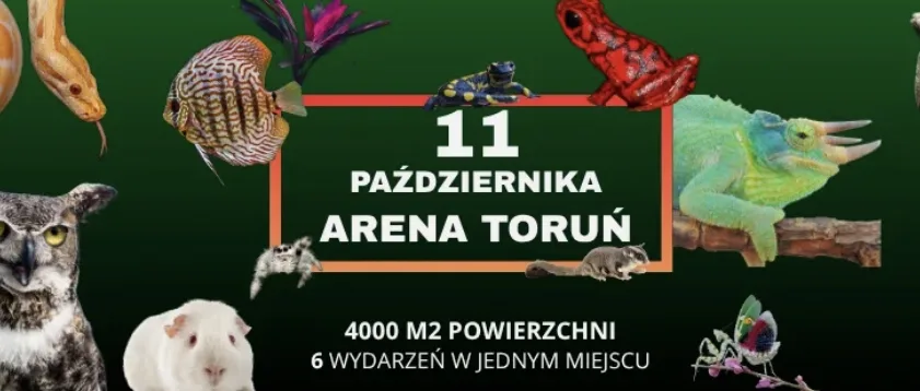 Animali esotici a Toruń - 11/10/2026