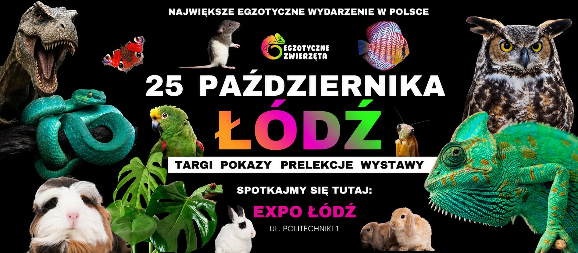 Egzotyczne Zwierzeta Łódź -25.10.2026