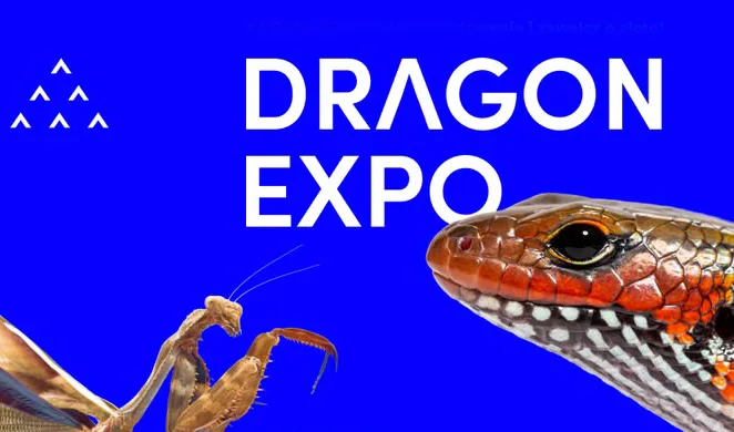 Dragon Expo — 07.06.2026