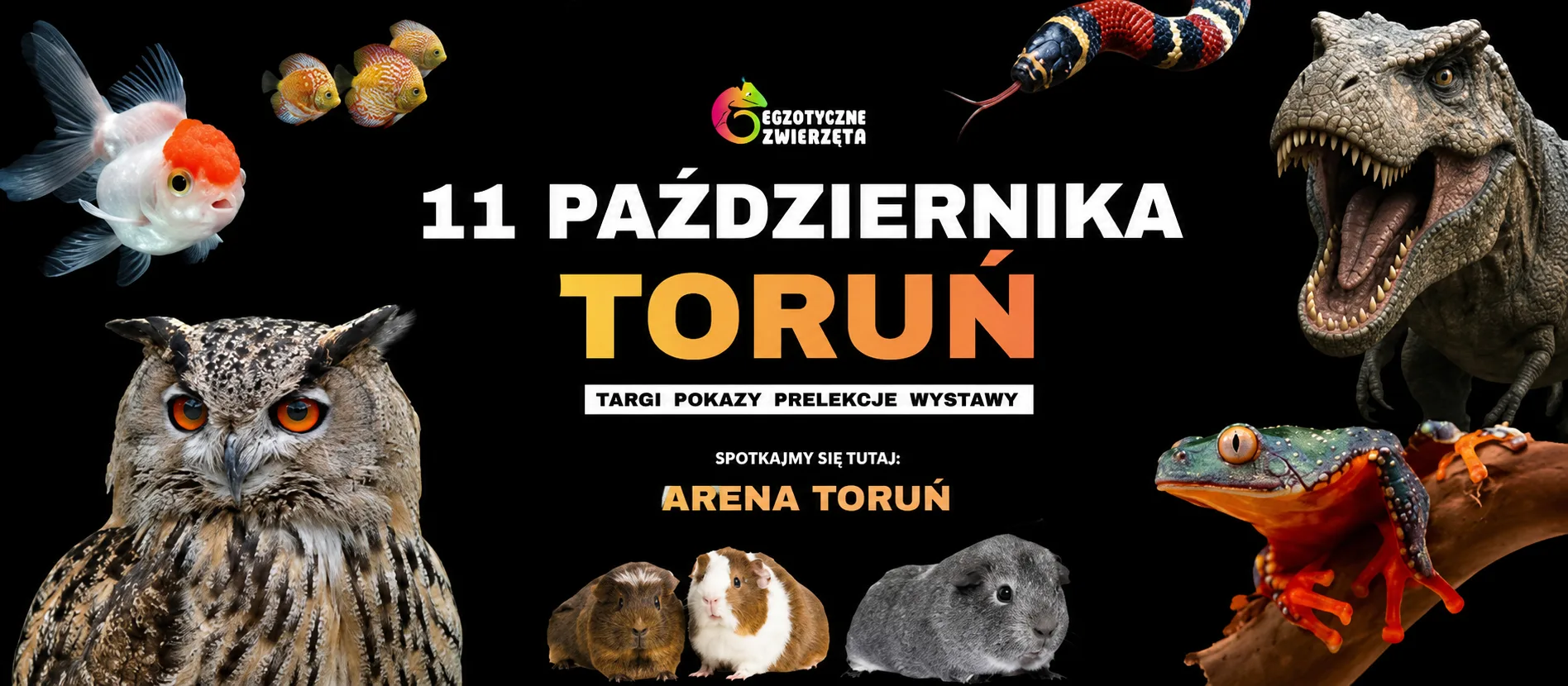 Egzotyczne Zwierzeta Toruń - 11.10.2026