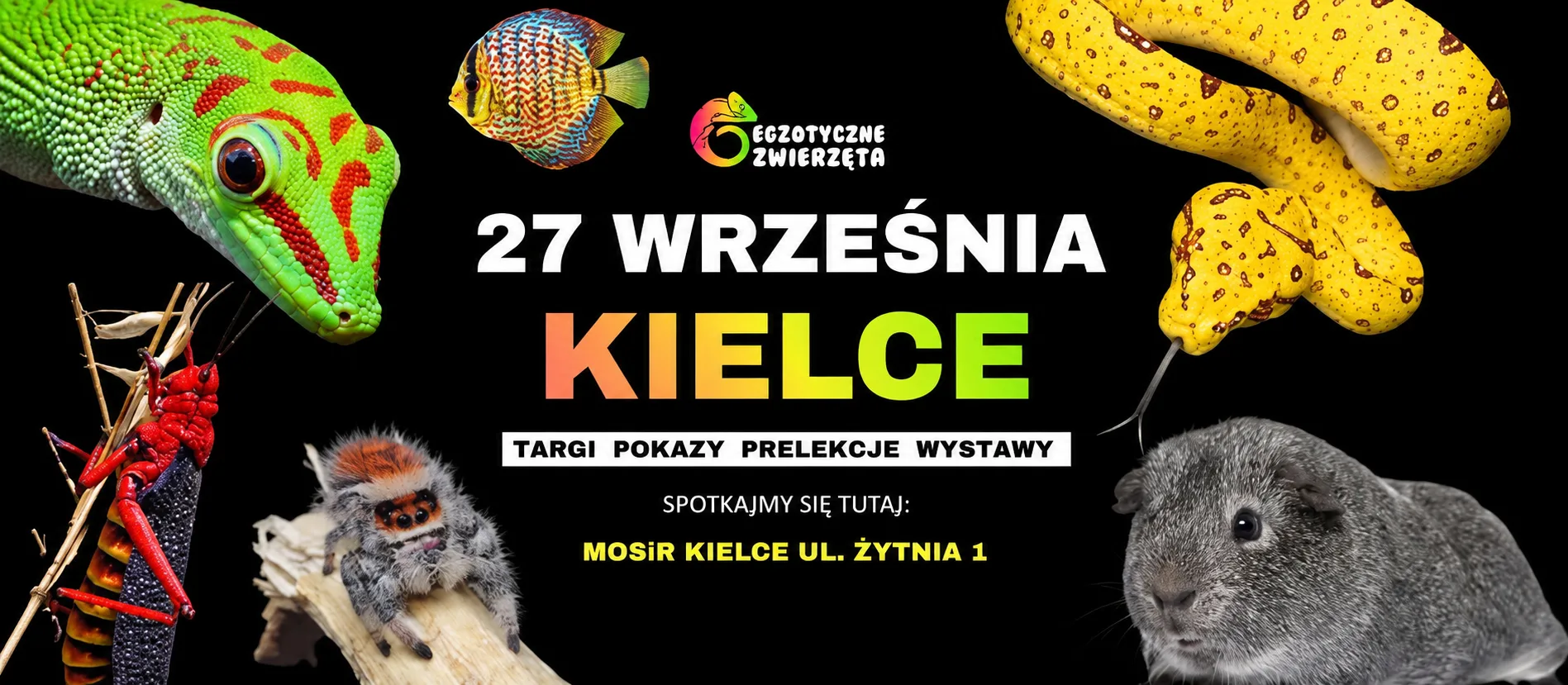 Egzotyczne Zwierzeta Kielce -27.09.2026