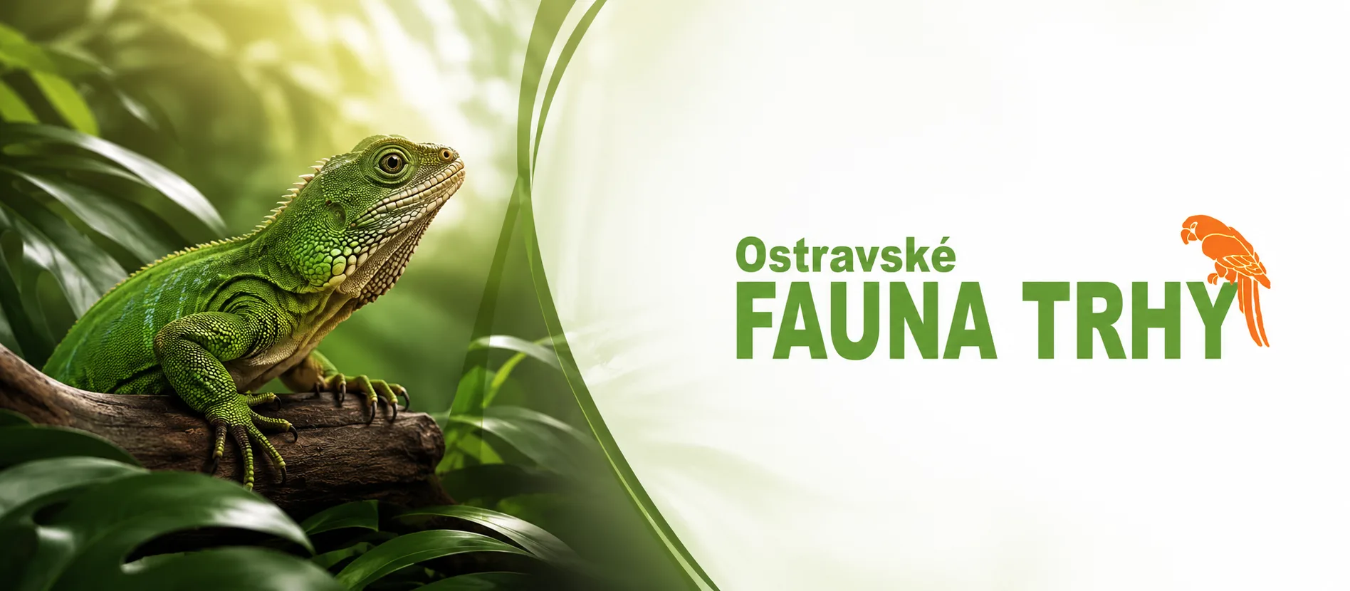 Fauna Trhy Ostrawa —  30.08.2026