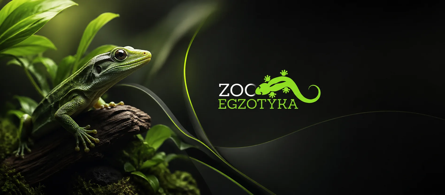 Zooegzotyka  Wrocław - 20.09.2026