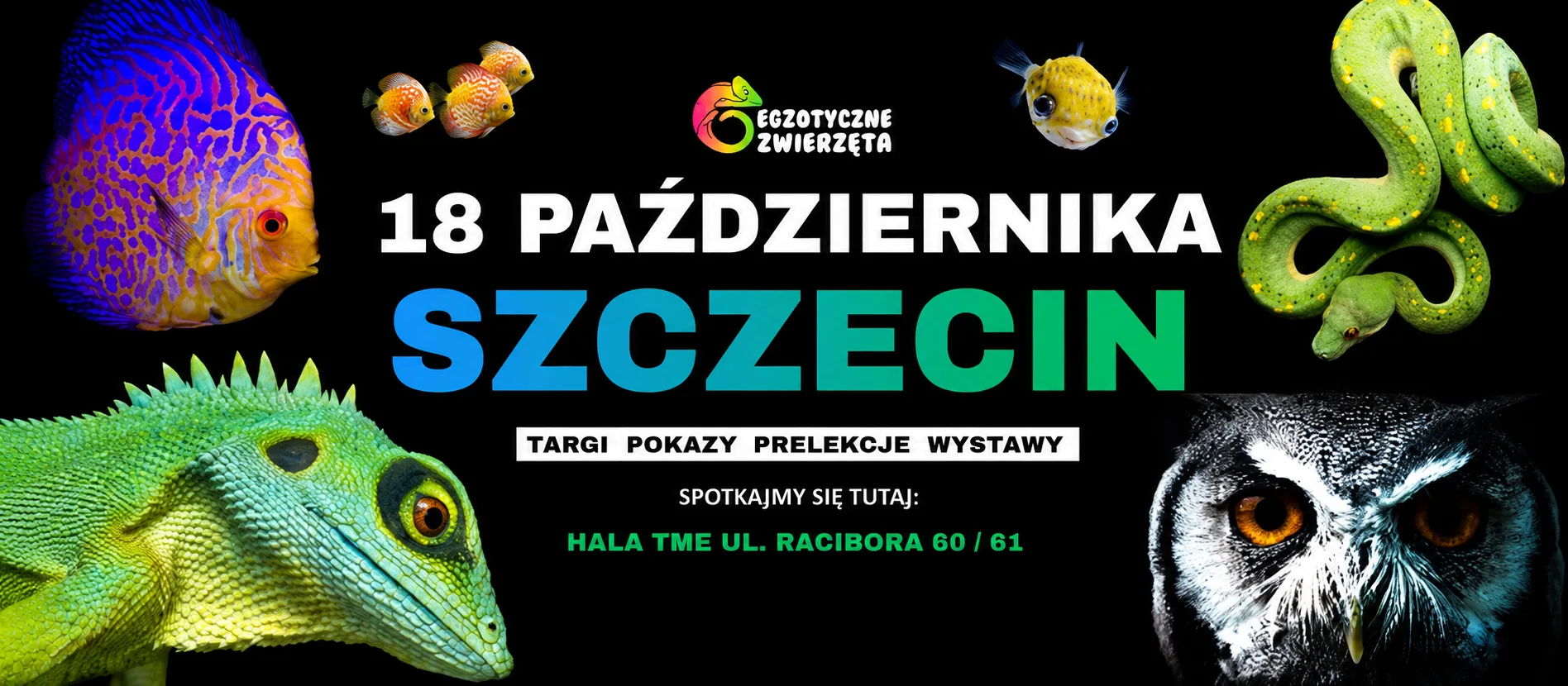 Egzotyczne Zwierzeta Szczecin -18.10.2026