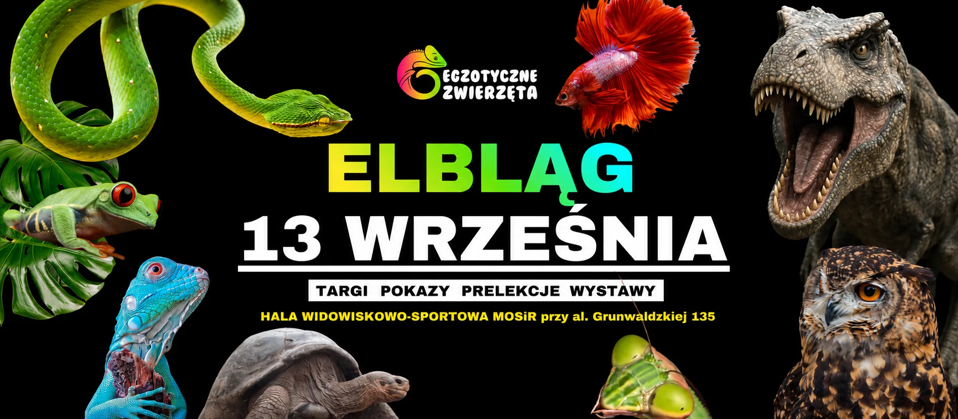 Egzotyczne Zwierzeta Elbląg - 13.09.2026