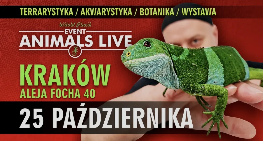Animals Live — wystawa terrarystyczna