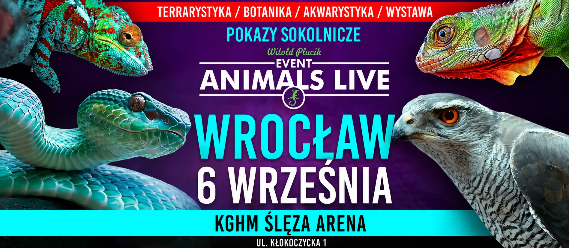 Animals Live  Wrocław - 06.09.2026