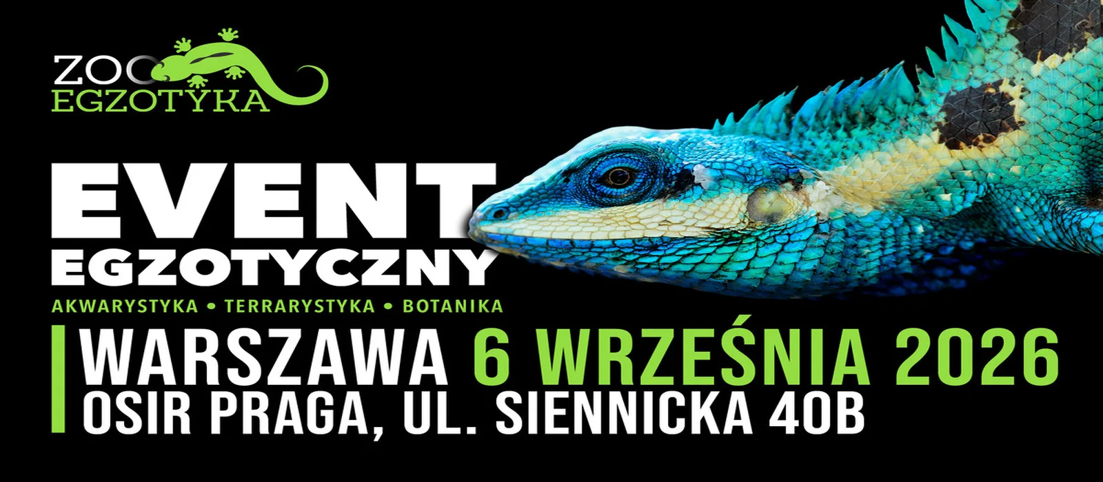 ZooEgzotyka (copy) (copy) (copy) (copy)