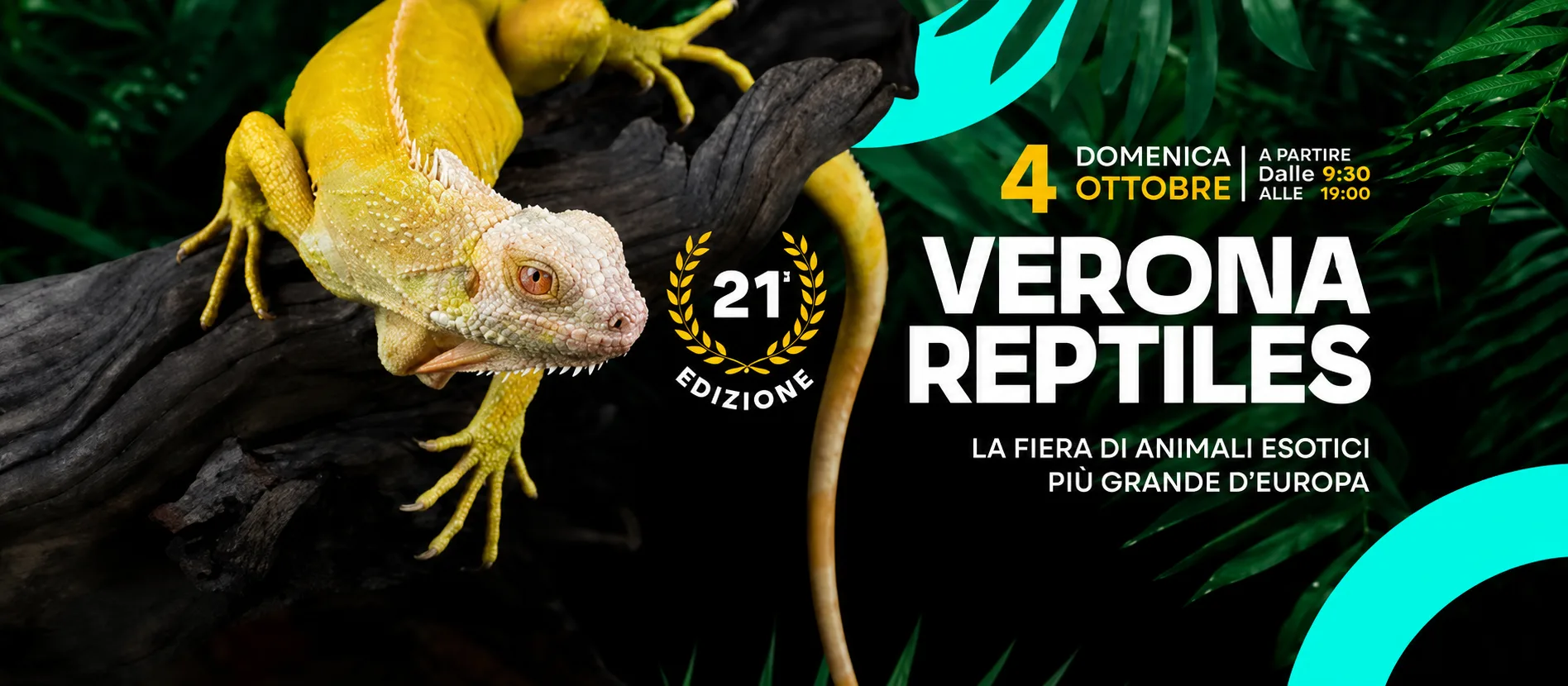 Verona Reptiles - 04.10.2026